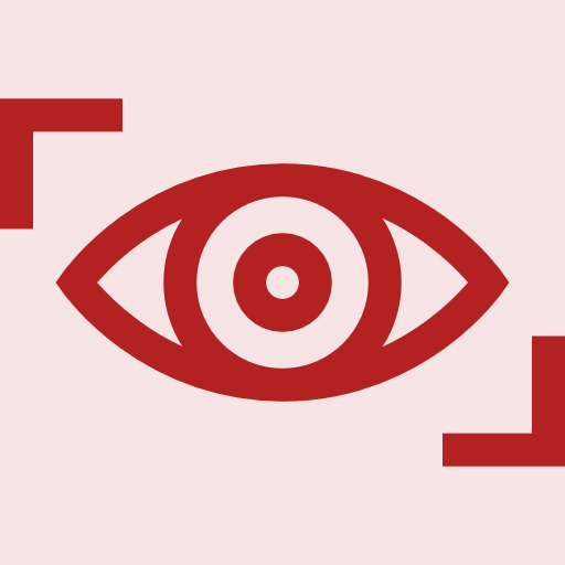 Our Vision Icon