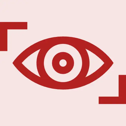 Our Vision Icon